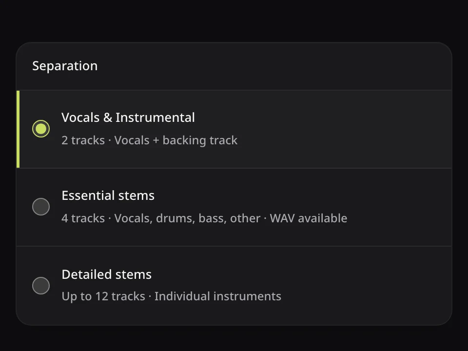 Vocal Remover workspace: Run vocal separation
