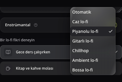 Gerçek Lo-fi formunda Kullanım ve Tarz seçenekleri ile açık Enstrümantal anahtarı